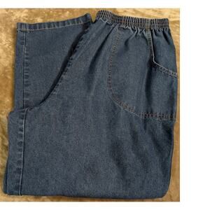 Vtg American Sweetheart Jeans Plus Size 22WP 22 W P Petite Pull On Elastic Waist